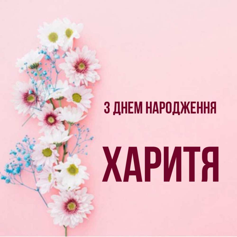 Открытка на каждый день з підписом, Харитя З Днем народження Родная моя с днем рождения тебя картинка с цветами белыми и голубыми Прикольна листівка з побажанням онлайн скачати безкоштовно 