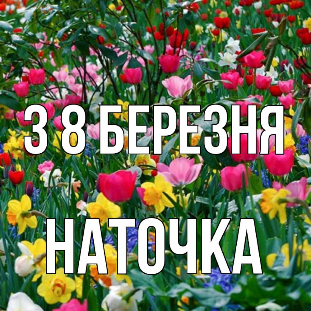 Открытка на каждый день з підписом, Наточка З 8 БЕРЕЗНЯ с международным женским днем поздравления для женщины Прикольна листівка з побажанням онлайн скачати безкоштовно 