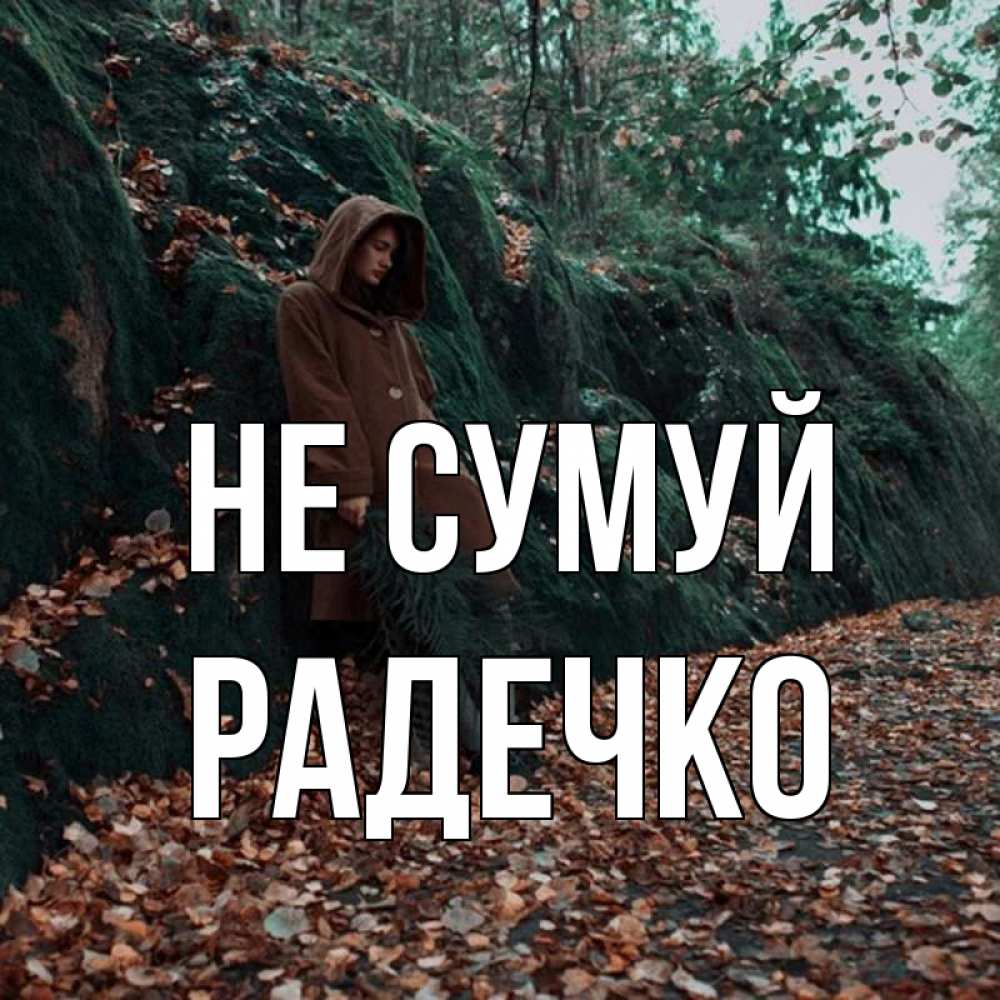 Открытка на каждый день з підписом, Радечко Не сумуй осенний лес Прикольна листівка з побажанням онлайн скачати безкоштовно 