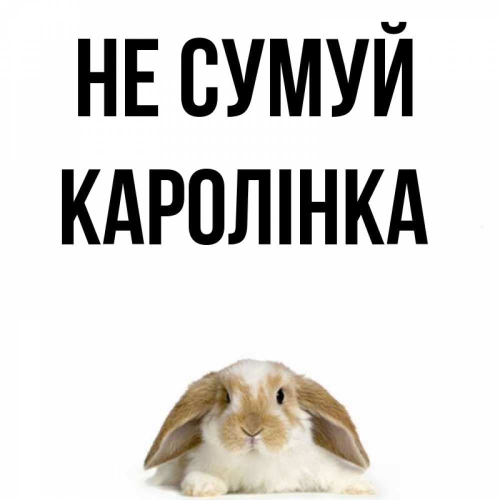 Открытка на каждый день з підписом, Каролінка Не сумуй коричнево белый заяц с большими ушками Прикольна листівка з побажанням онлайн скачати безкоштовно 