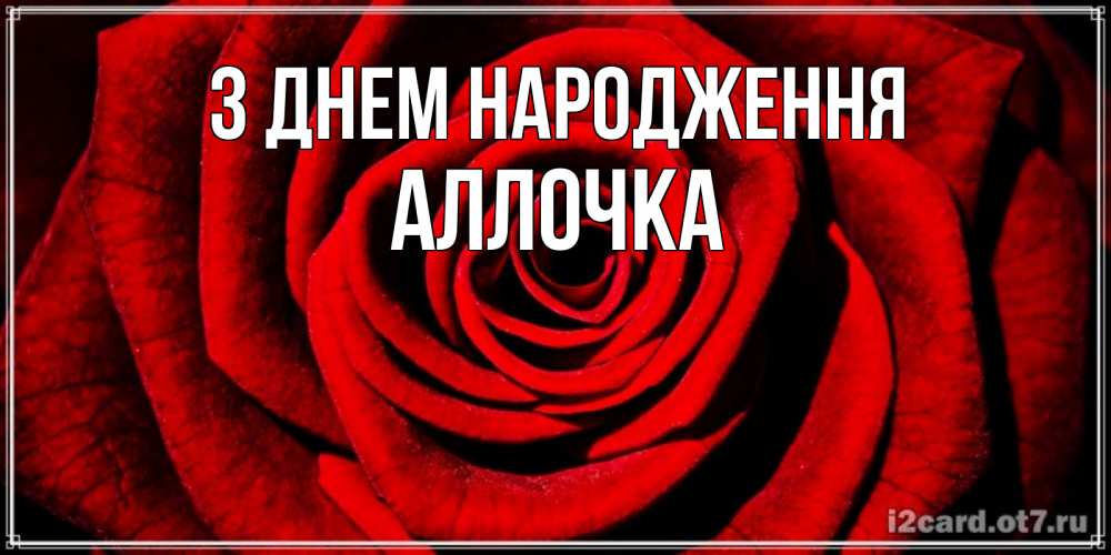 Открытка на каждый день з підписом, Аллочка З Днем народження алая роза Прикольна листівка з побажанням онлайн скачати безкоштовно 