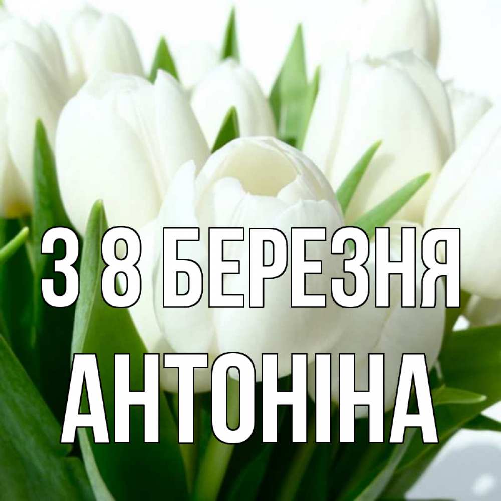 Открытка на каждый день з підписом, Антоніна З 8 БЕРЕЗНЯ цветы Прикольна листівка з побажанням онлайн скачати безкоштовно 