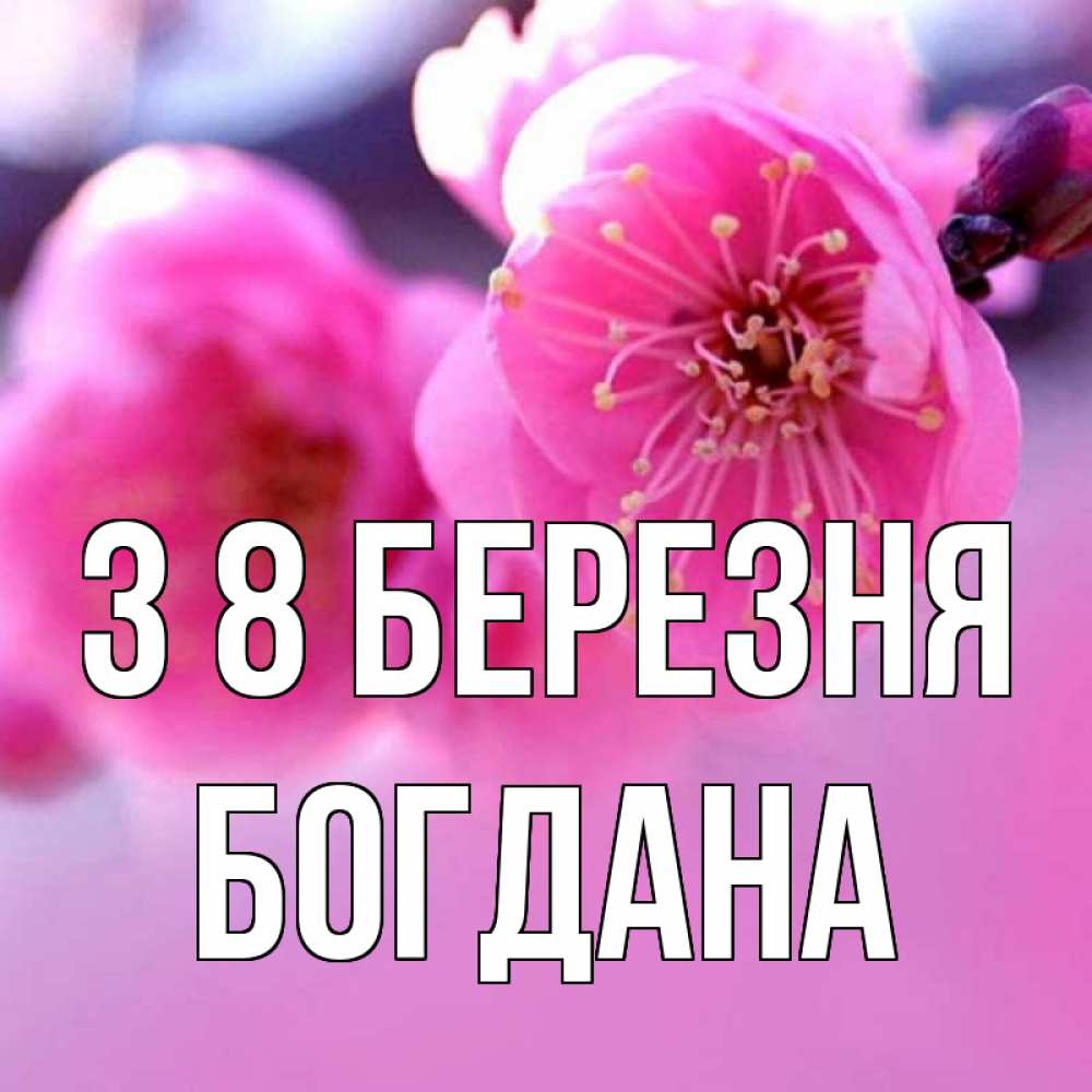 Открытка на каждый день з підписом, Богдана З 8 БЕРЕЗНЯ международный женский день Прикольна листівка з побажанням онлайн скачати безкоштовно 