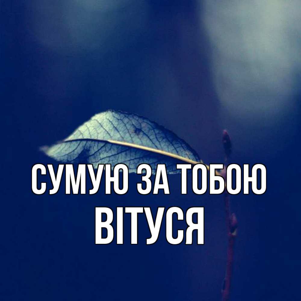 Открытка на каждый день з підписом, Вітуся Сумую за тобою одна ветка 1 Прикольна листівка з побажанням онлайн скачати безкоштовно 