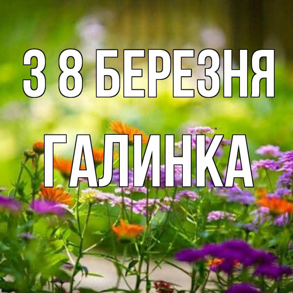 Открытка на каждый день з підписом, Галинка З 8 БЕРЕЗНЯ цветы Прикольна листівка з побажанням онлайн скачати безкоштовно 