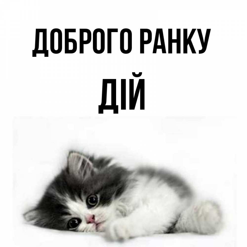 Открытка на каждый день з підписом, Дій Доброго ранку кот лапки Прикольна листівка з побажанням онлайн скачати безкоштовно 