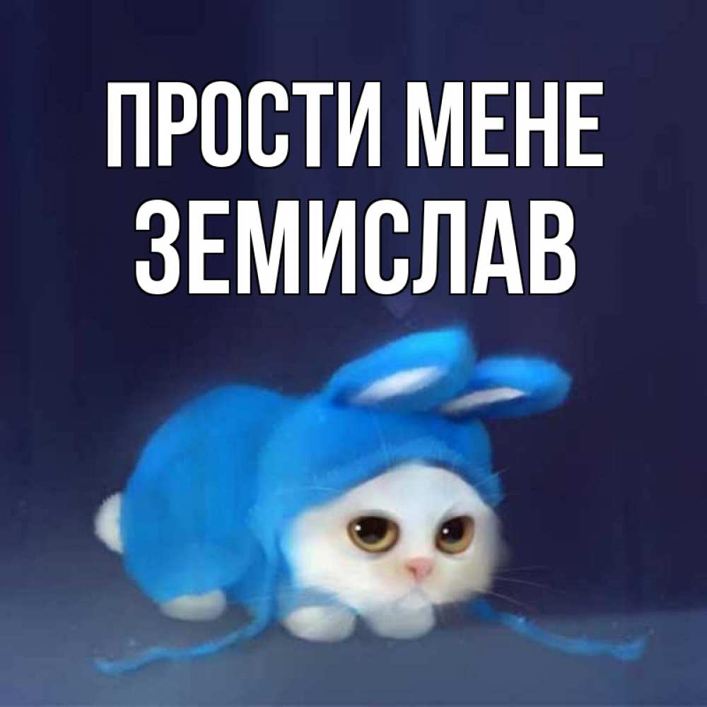 Открытка на каждый день з підписом, Земислав Прости мене невинный котозай просит прощения Прикольна листівка з побажанням онлайн скачати безкоштовно 