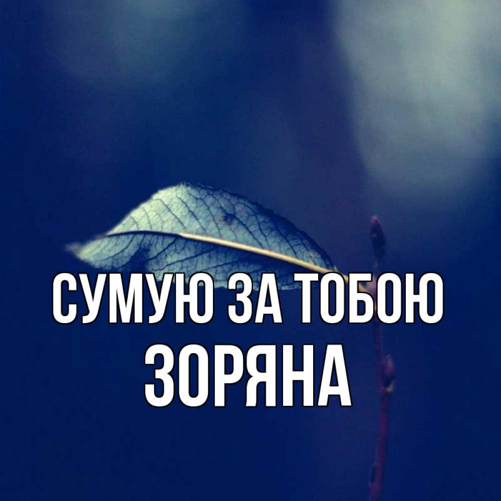 Открытка на каждый день з підписом, Зоряна Сумую за тобою одна ветка 1 Прикольна листівка з побажанням онлайн скачати безкоштовно 