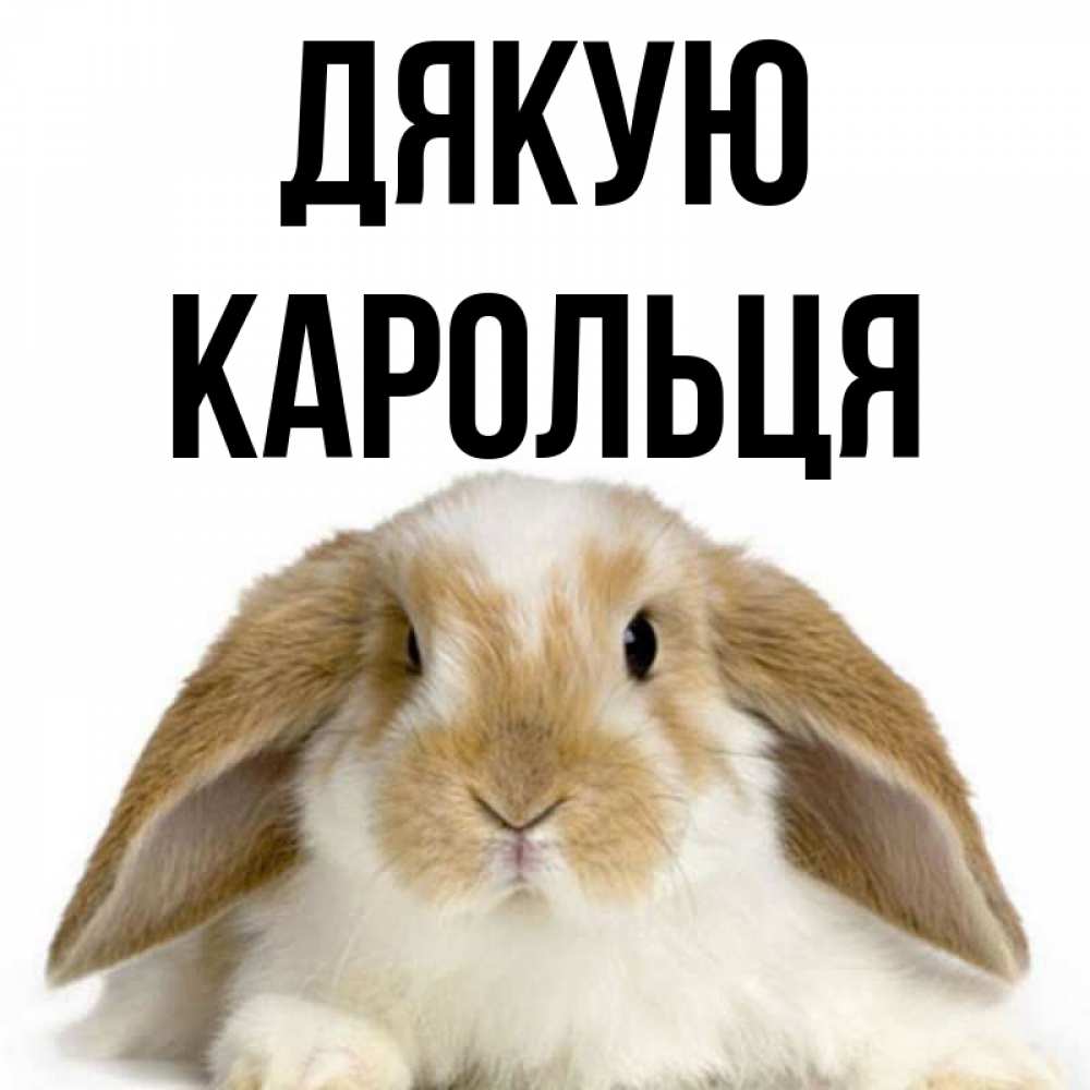 Открытка на каждый день з підписом, Карольця Дякую коричнево белый заяц Прикольна листівка з побажанням онлайн скачати безкоштовно 