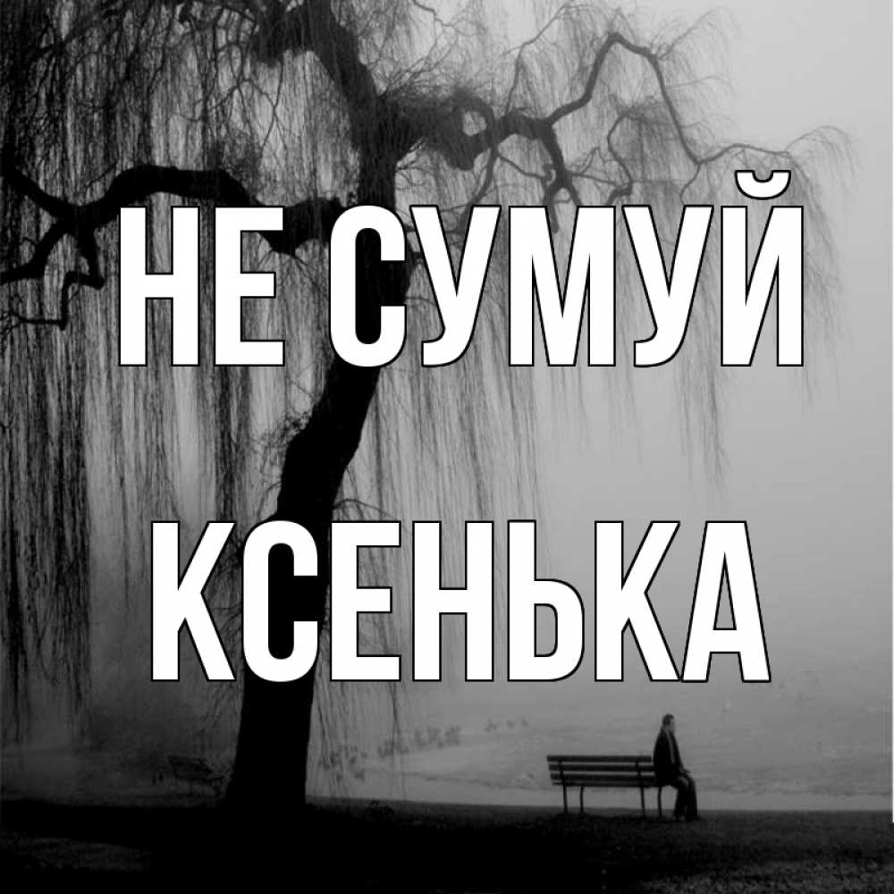 Открытка на каждый день з підписом, Ксенька Не сумуй висящие ветки дерева и лавочка под деревом Прикольна листівка з побажанням онлайн скачати безкоштовно 