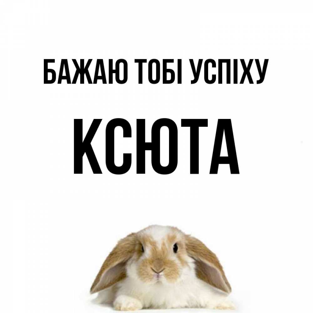 Открытка на каждый день з підписом, Ксюта Бажаю тобі успіху открытки с произвольным текстом который можно вставить в открытку и создать ее самостоятельно бесплатно онлайн Прикольна листівка з побажанням онлайн скачати безкоштовно 