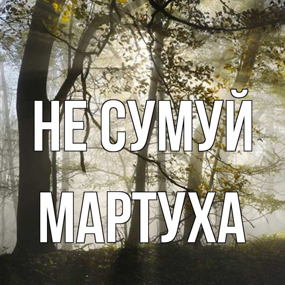 Открытка на каждый день з підписом, Мартуха Не сумуй лес и свет Прикольна листівка з побажанням онлайн скачати безкоштовно 