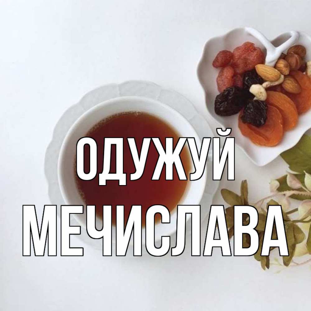 Открытка на каждый день з підписом, Мечислава Одужуй неизвестные растения Прикольна листівка з побажанням онлайн скачати безкоштовно 