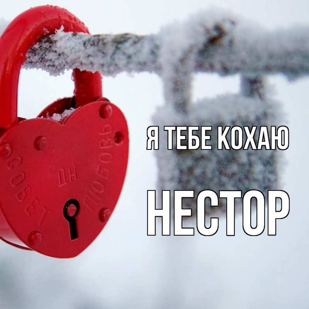 Открытка на каждый день з підписом, Нестор Я тебе кохаю любви Прикольна листівка з побажанням онлайн скачати безкоштовно 