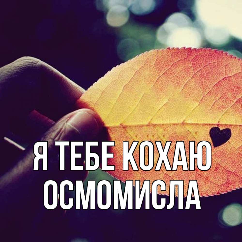 Открытка на каждый день з підписом, Осмомисла Я тебе кохаю держу лист Прикольна листівка з побажанням онлайн скачати безкоштовно 