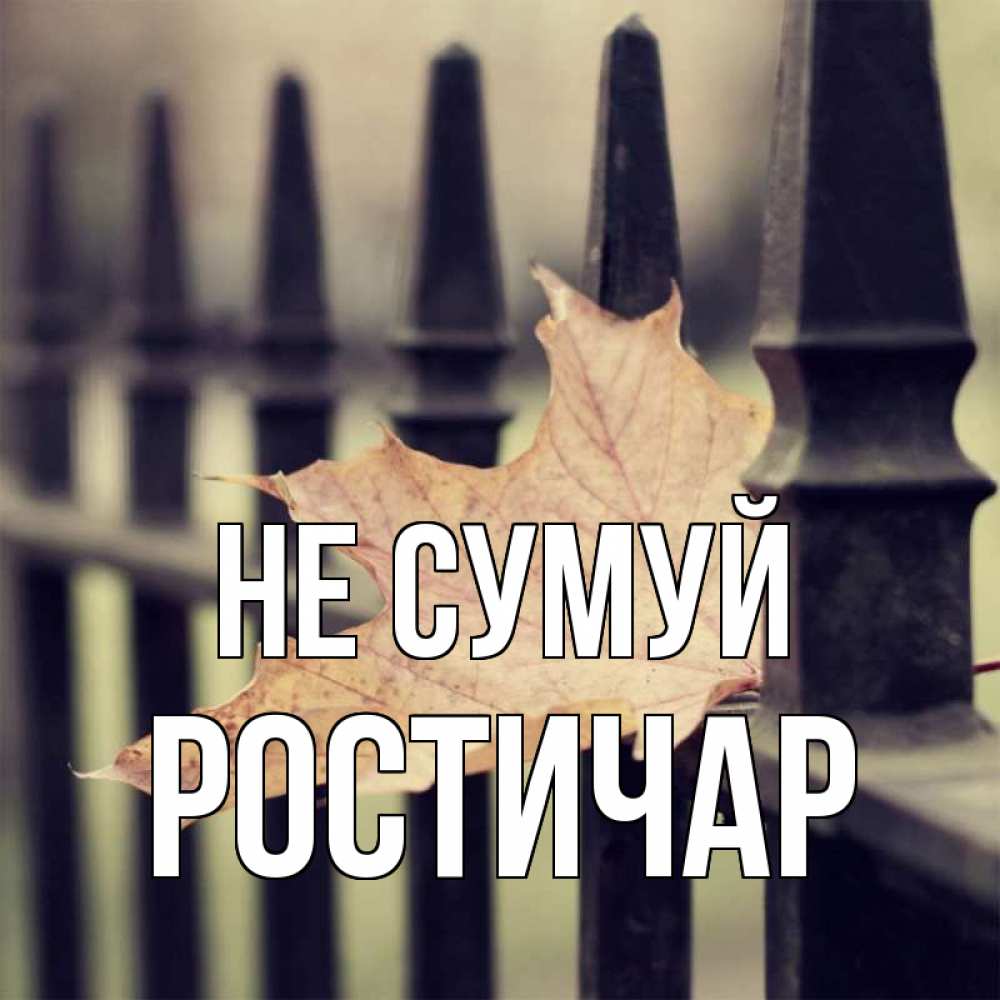 Открытка на каждый день з підписом, Ростичар Не сумуй лист клена Прикольна листівка з побажанням онлайн скачати безкоштовно 