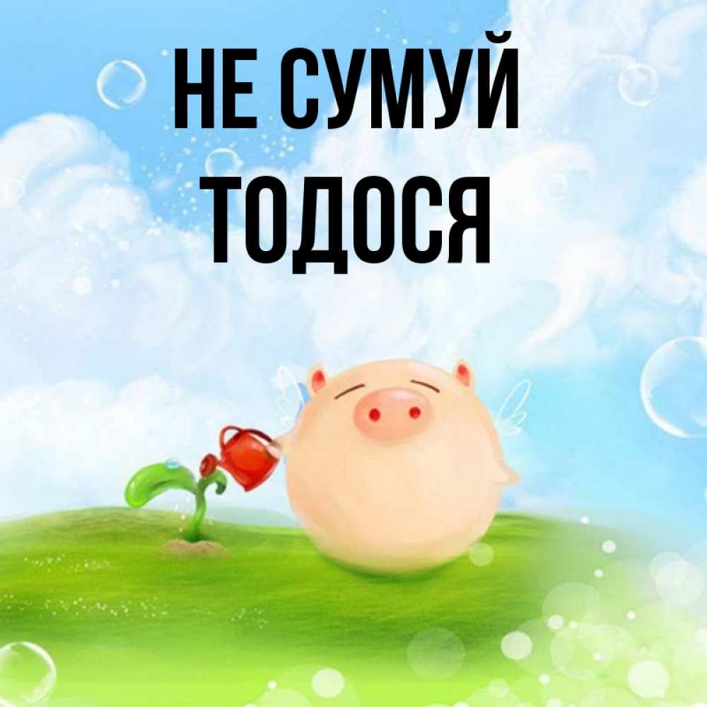 Открытка на каждый день з підписом, Тодося Не сумуй поливает цветок порося Прикольна листівка з побажанням онлайн скачати безкоштовно 