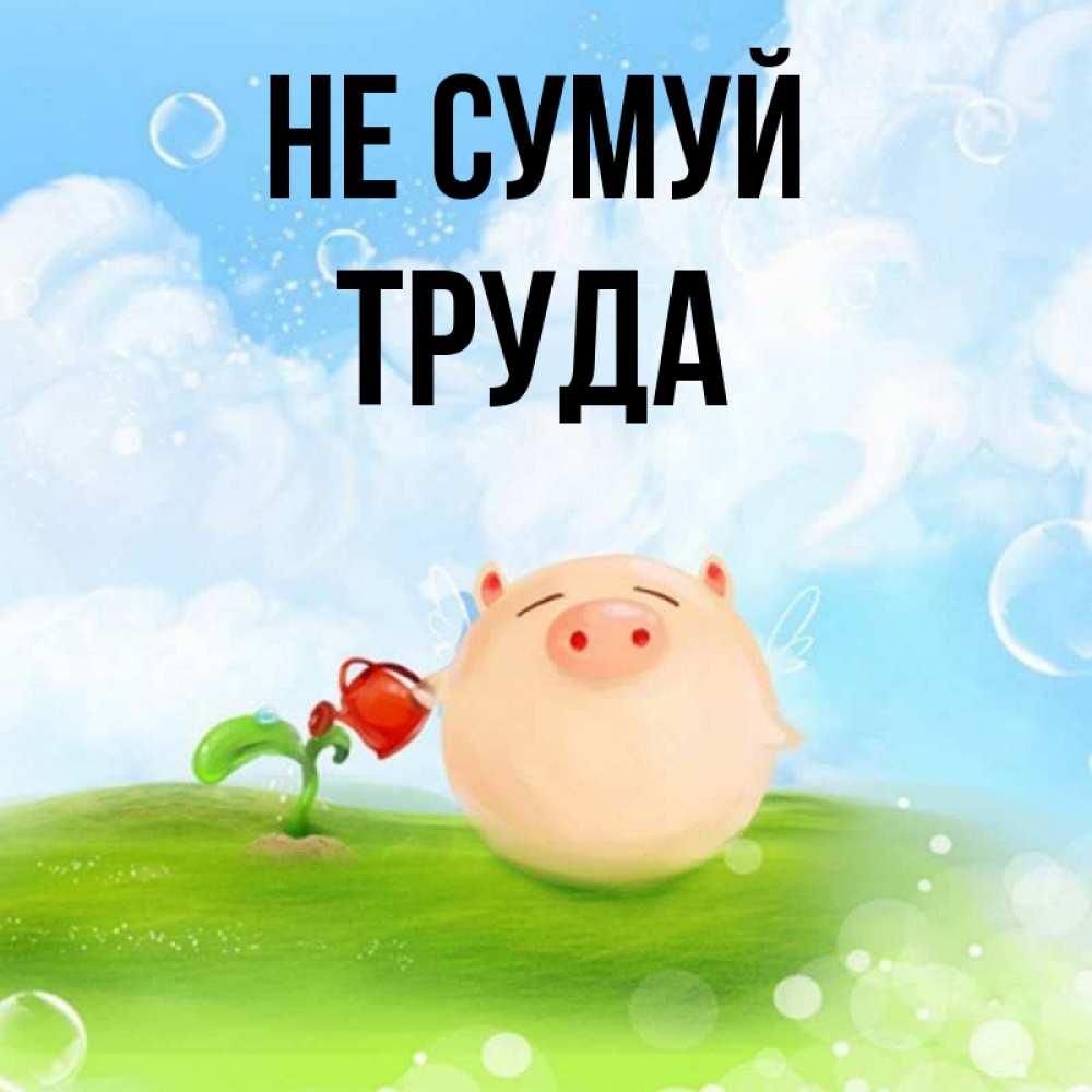 Открытка на каждый день з підписом, Труда Не сумуй поливает цветок порося Прикольна листівка з побажанням онлайн скачати безкоштовно 