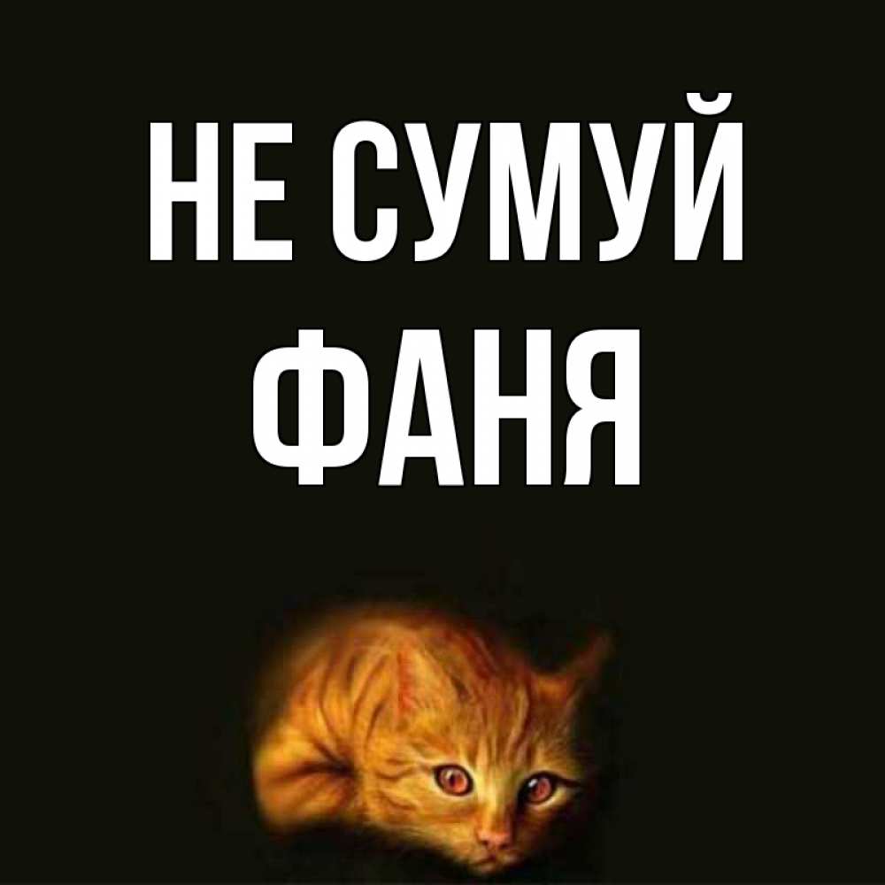 Открытка на каждый день з підписом, Фаня Не сумуй лежащий кот в темноте Прикольна листівка з побажанням онлайн скачати безкоштовно 