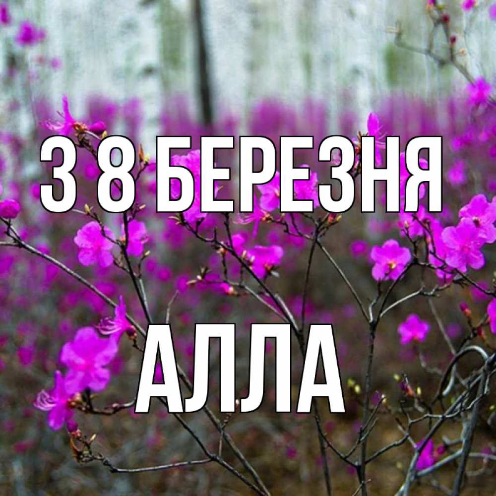 Открытка на каждый день з підписом, Алла З 8 БЕРЕЗНЯ дикие цветы Прикольна листівка з побажанням онлайн скачати безкоштовно 