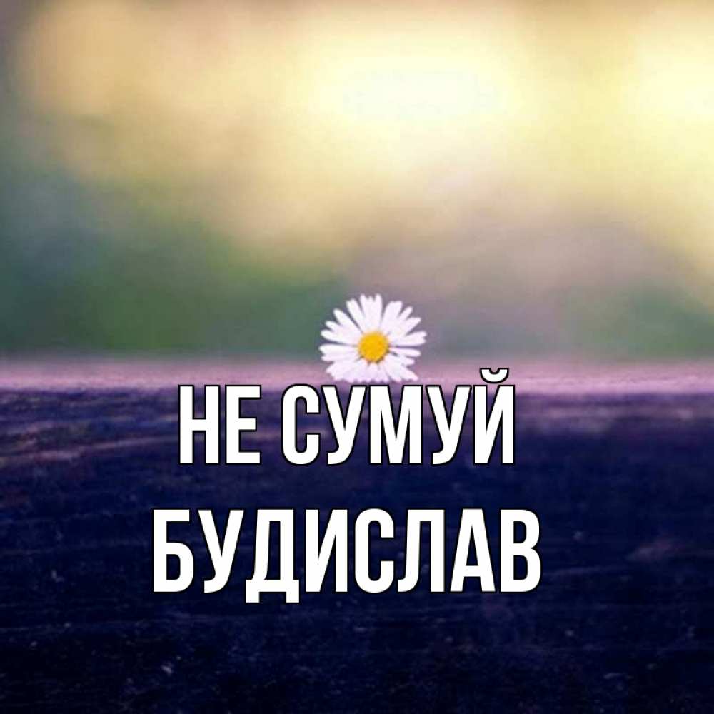Открытка на каждый день з підписом, Будислав Не сумуй красота Прикольна листівка з побажанням онлайн скачати безкоштовно 