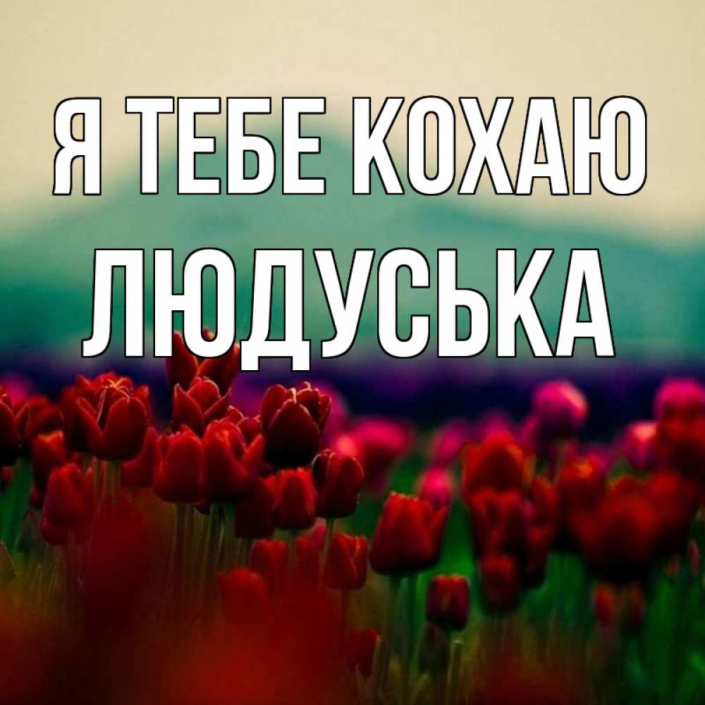 Открытка на каждый день з підписом, Людуська Я тебе кохаю тюльпаны 4 Прикольна листівка з побажанням онлайн скачати безкоштовно 