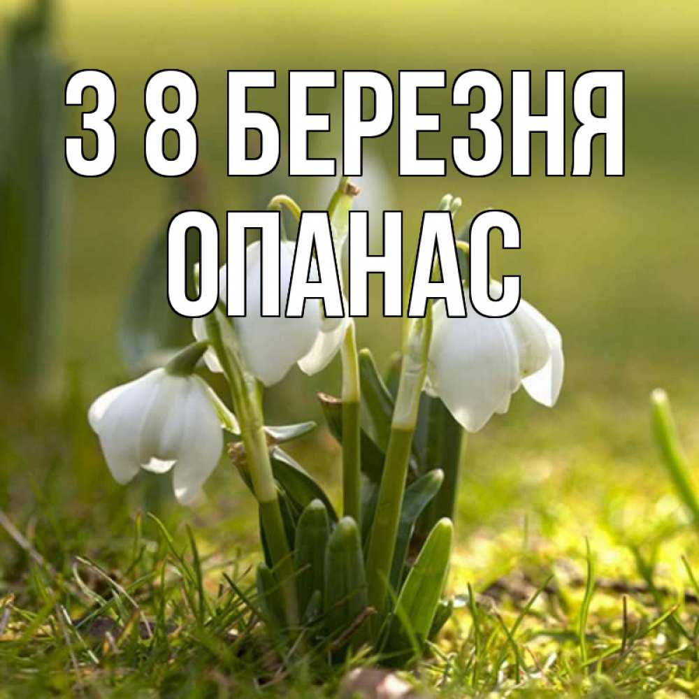 Открытка на каждый день з підписом, Опанас З 8 БЕРЕЗНЯ ранние цветы 2 Прикольна листівка з побажанням онлайн скачати безкоштовно 
