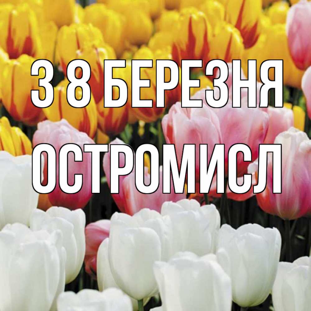 Открытка на каждый день з підписом, Остромисл З 8 БЕРЕЗНЯ разноцветные цветы Прикольна листівка з побажанням онлайн скачати безкоштовно 