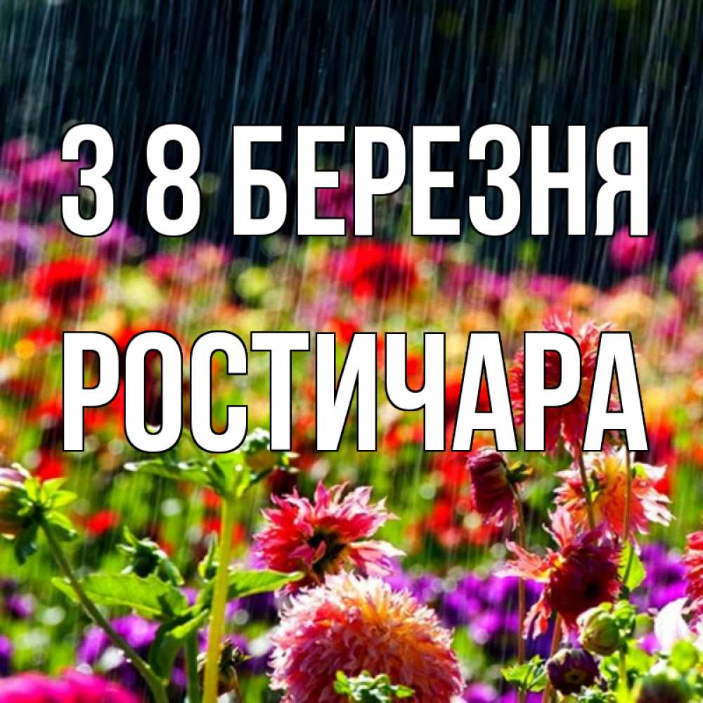 Открытка на каждый день з підписом, Ростичара З 8 БЕРЕЗНЯ цветы под дождиком к международному женскому дню Прикольна листівка з побажанням онлайн скачати безкоштовно 