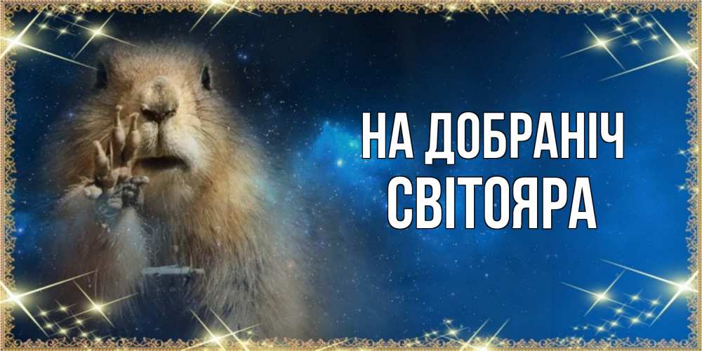 Открытка на каждый день з підписом, Світояра На добраніч спокойной ночи сладких снов Прикольна листівка з побажанням онлайн скачати безкоштовно 