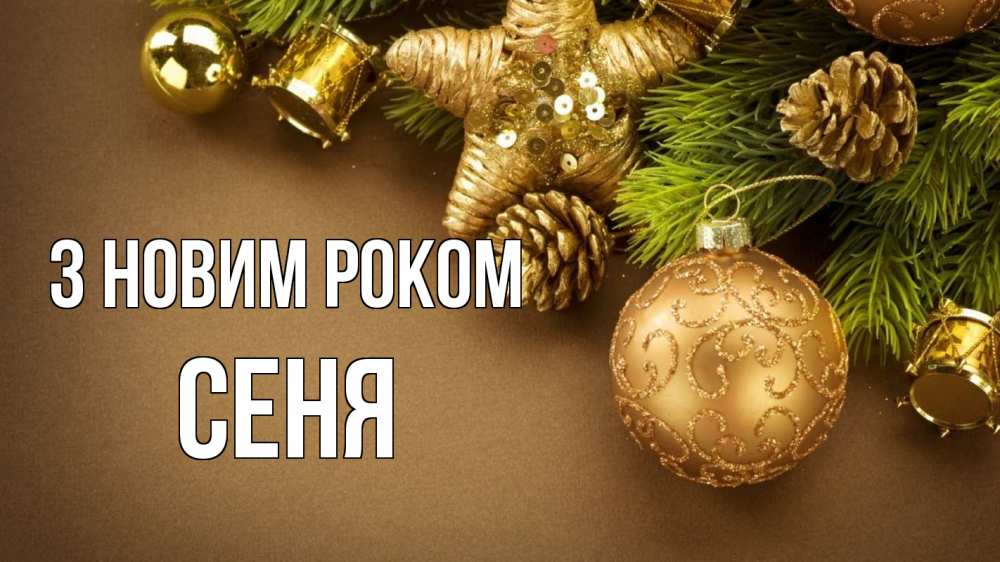 Открытка на каждый день з підписом, Сеня З новим роком новый год Прикольна листівка з побажанням онлайн скачати безкоштовно 