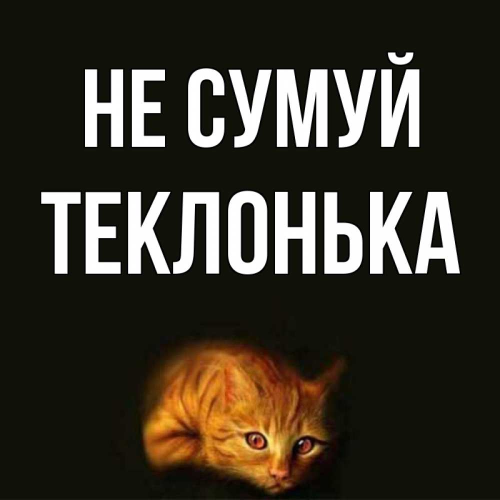 Открытка на каждый день з підписом, Теклонька Не сумуй лежащий кот в темноте Прикольна листівка з побажанням онлайн скачати безкоштовно 