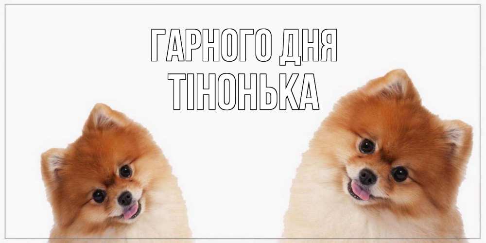 Открытка на каждый день з підписом, Тінонька Гарного дня собачки желают прекрасного дня Прикольна листівка з побажанням онлайн скачати безкоштовно 