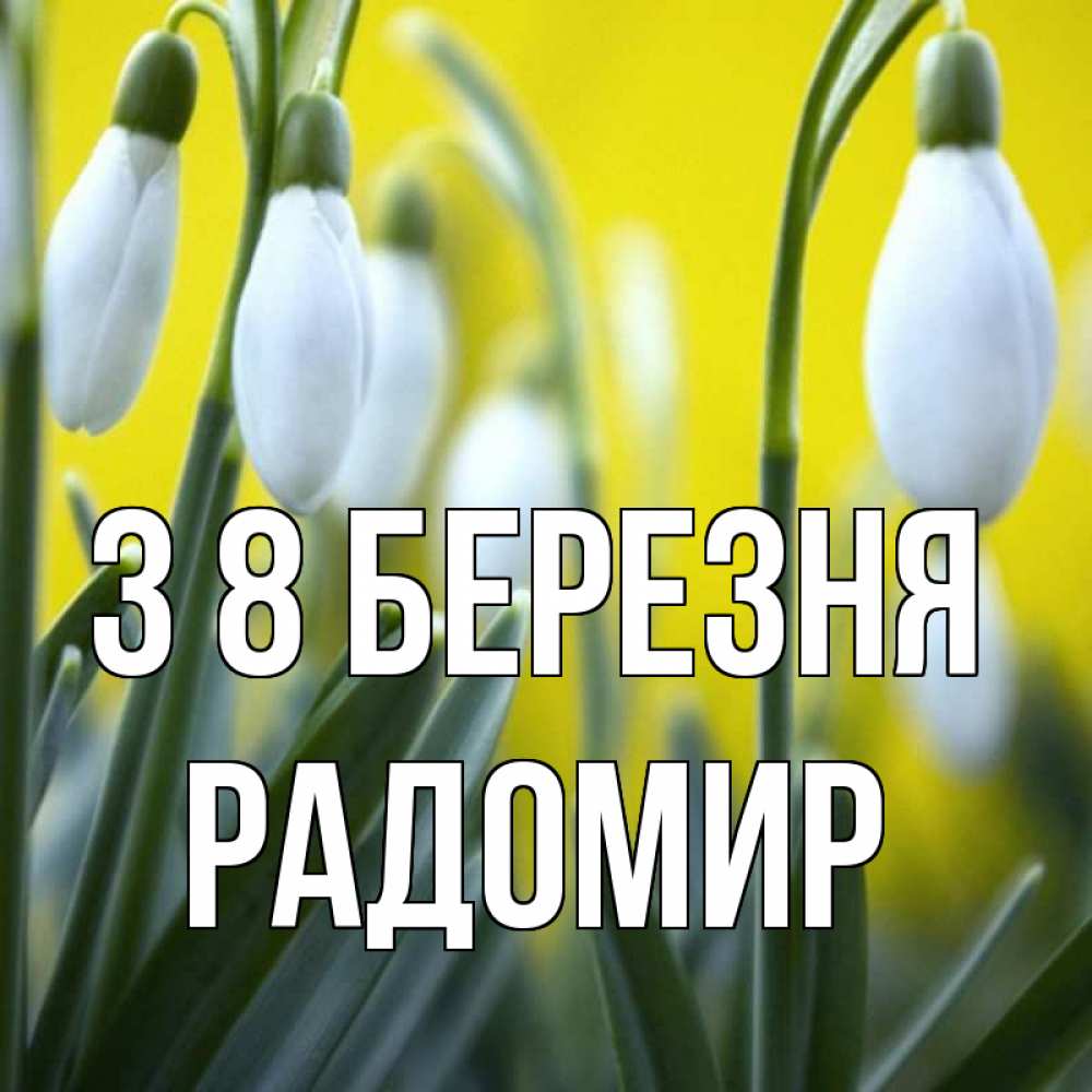 Открытка на каждый день з підписом, Радомир З 8 БЕРЕЗНЯ весенние цветы Прикольна листівка з побажанням онлайн скачати безкоштовно 