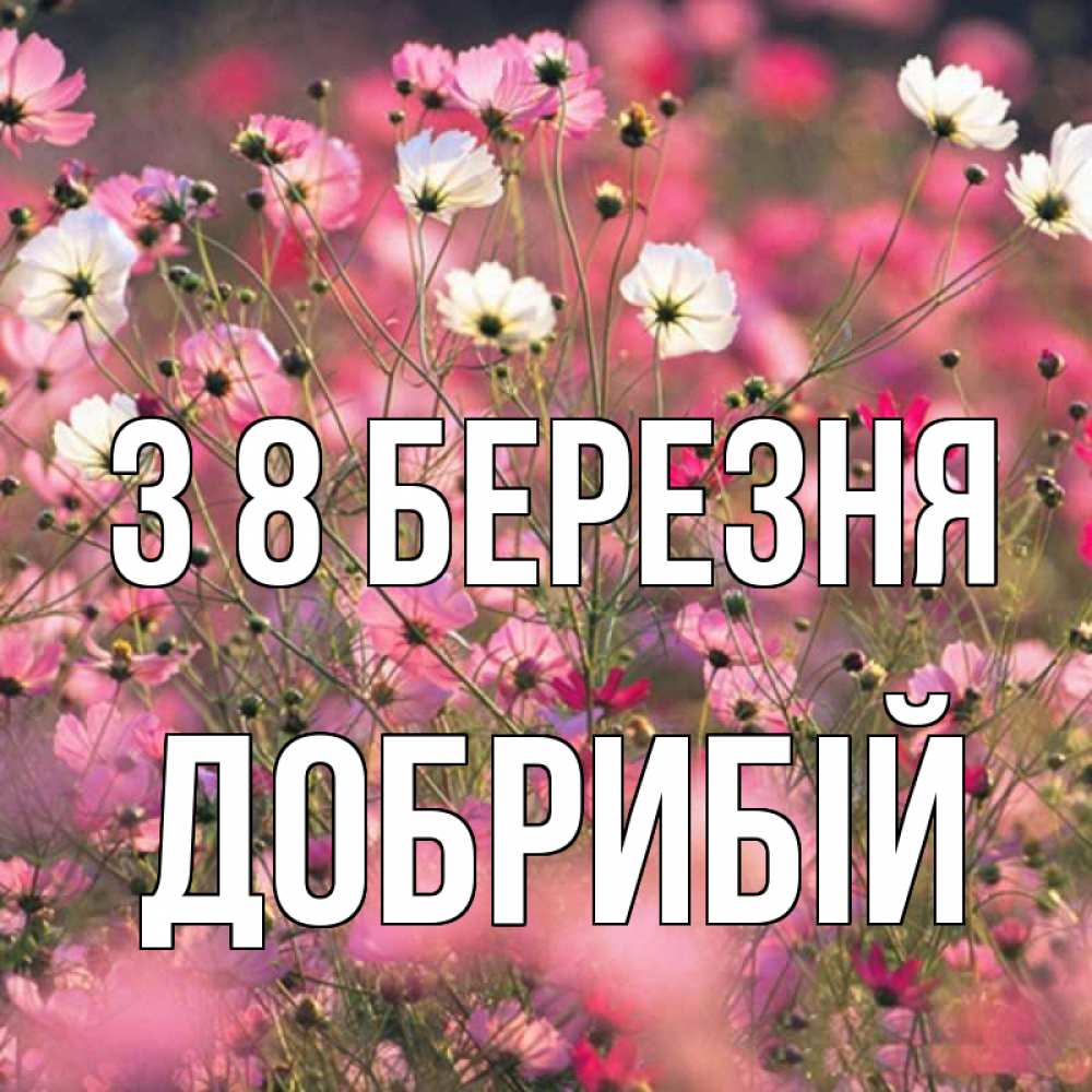 Открытка на каждый день з підписом, Добрибій З 8 БЕРЕЗНЯ красиво 1 Прикольна листівка з побажанням онлайн скачати безкоштовно 