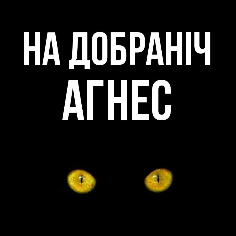 Открытка на каждый день з підписом, Агнес На добраніч сладких снов бесстрашный мой дружочек Прикольна листівка з побажанням онлайн скачати безкоштовно 