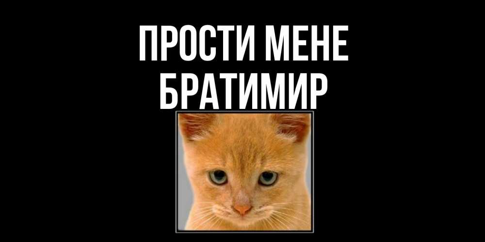 Открытка на каждый день з підписом, Братимир Прости мене рыжий грустный кот просит прощения Прикольна листівка з побажанням онлайн скачати безкоштовно 