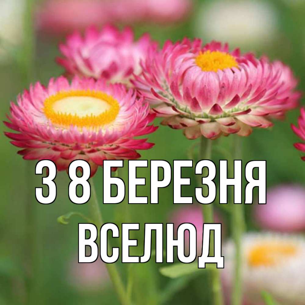 Открытка на каждый день з підписом, Вселюд З 8 БЕРЕЗНЯ подарок на международный женский день Прикольна листівка з побажанням онлайн скачати безкоштовно 