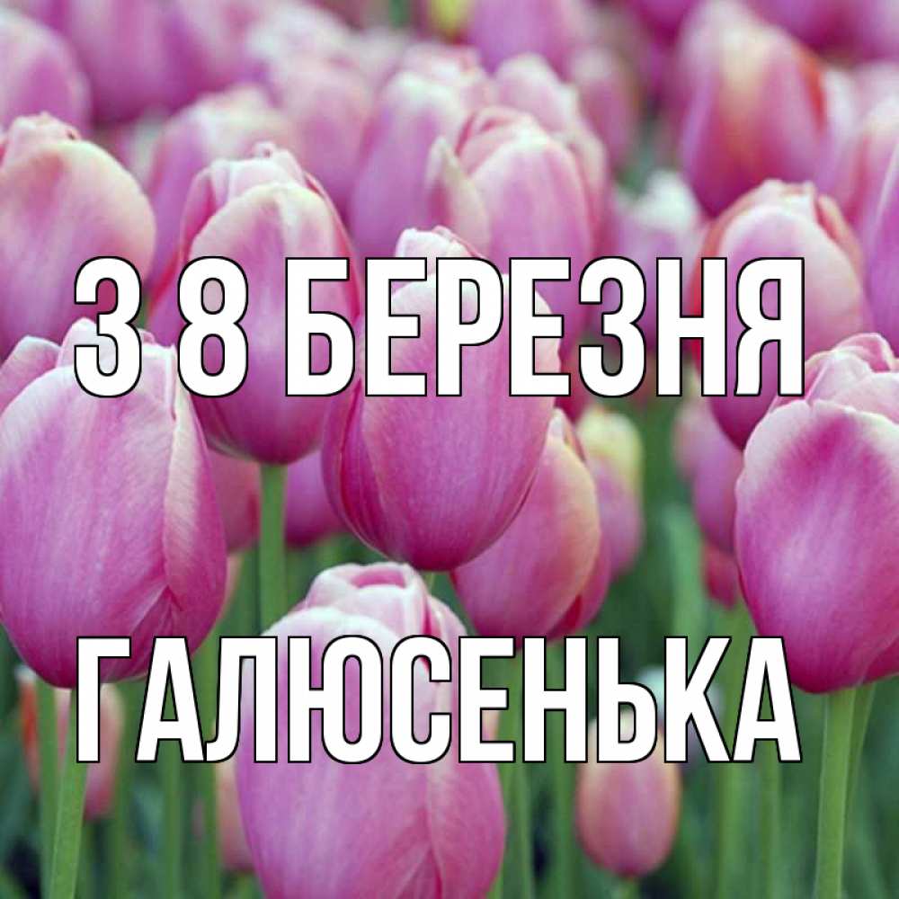 Открытка на каждый день з підписом, Галюсенька З 8 БЕРЕЗНЯ на международный женский день 3 Прикольна листівка з побажанням онлайн скачати безкоштовно 
