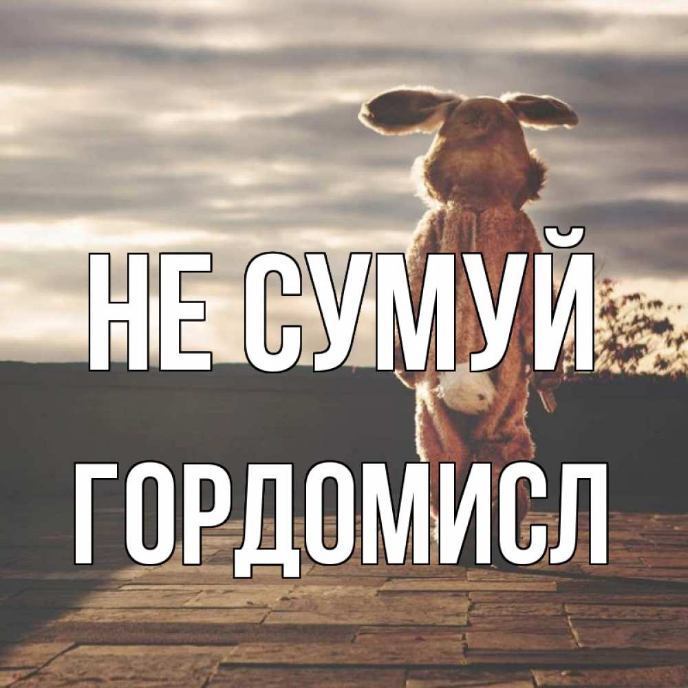 Открытка на каждый день з підписом, Гордомисл Не сумуй со спины Прикольна листівка з побажанням онлайн скачати безкоштовно 