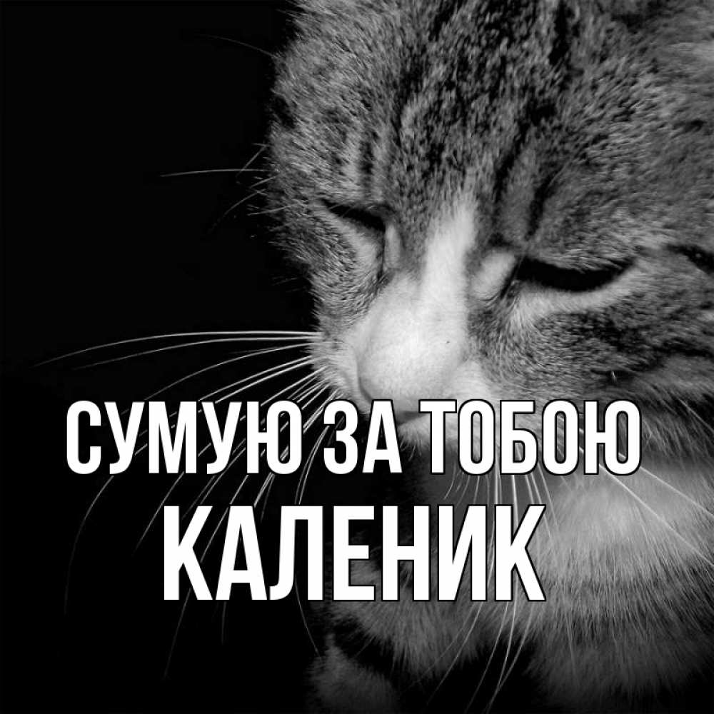 Открытка на каждый день з підписом, Каленик Сумую за тобою мне скучно Прикольна листівка з побажанням онлайн скачати безкоштовно 