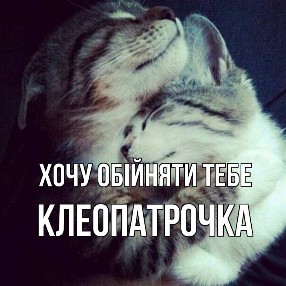 Открытка на каждый день з підписом, Клеопатрочка Хочу обійняти тебе полосатики Прикольна листівка з побажанням онлайн скачати безкоштовно 