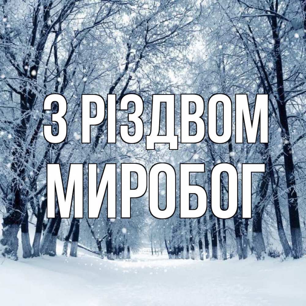 Открытка на каждый день з підписом, Миробог З Різдвом снег, лес, парк Прикольна листівка з побажанням онлайн скачати безкоштовно 