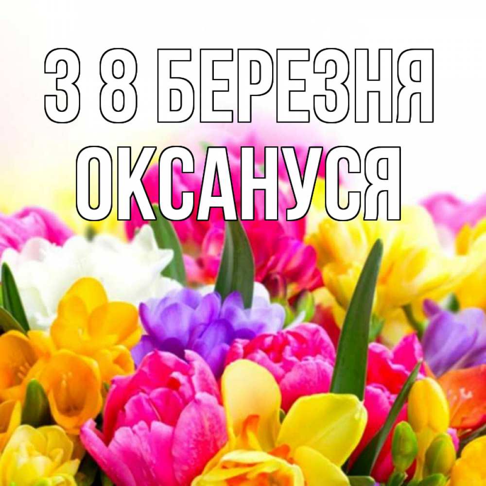 Открытка на каждый день з підписом, Оксануся З 8 БЕРЕЗНЯ тюльпаны Прикольна листівка з побажанням онлайн скачати безкоштовно 