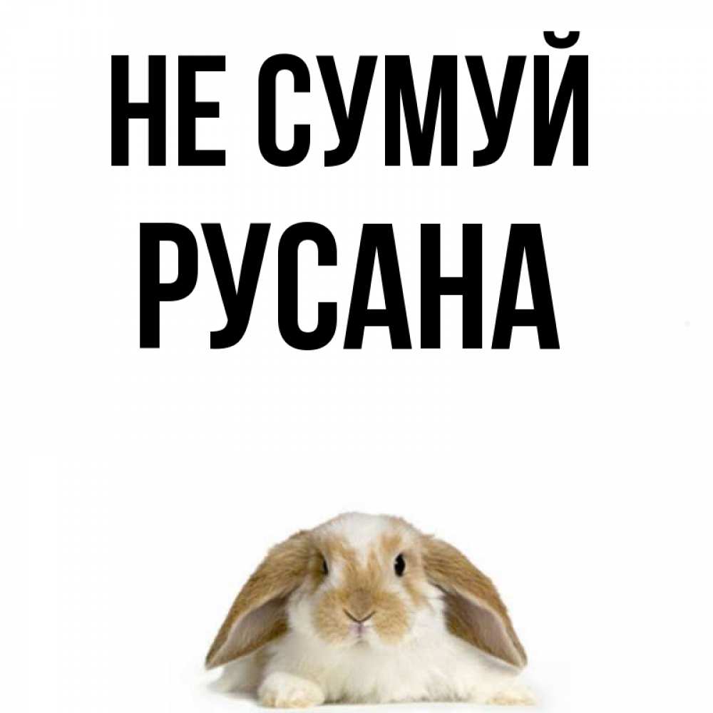 Открытка на каждый день з підписом, Русана Не сумуй коричнево белый заяц с большими ушками Прикольна листівка з побажанням онлайн скачати безкоштовно 
