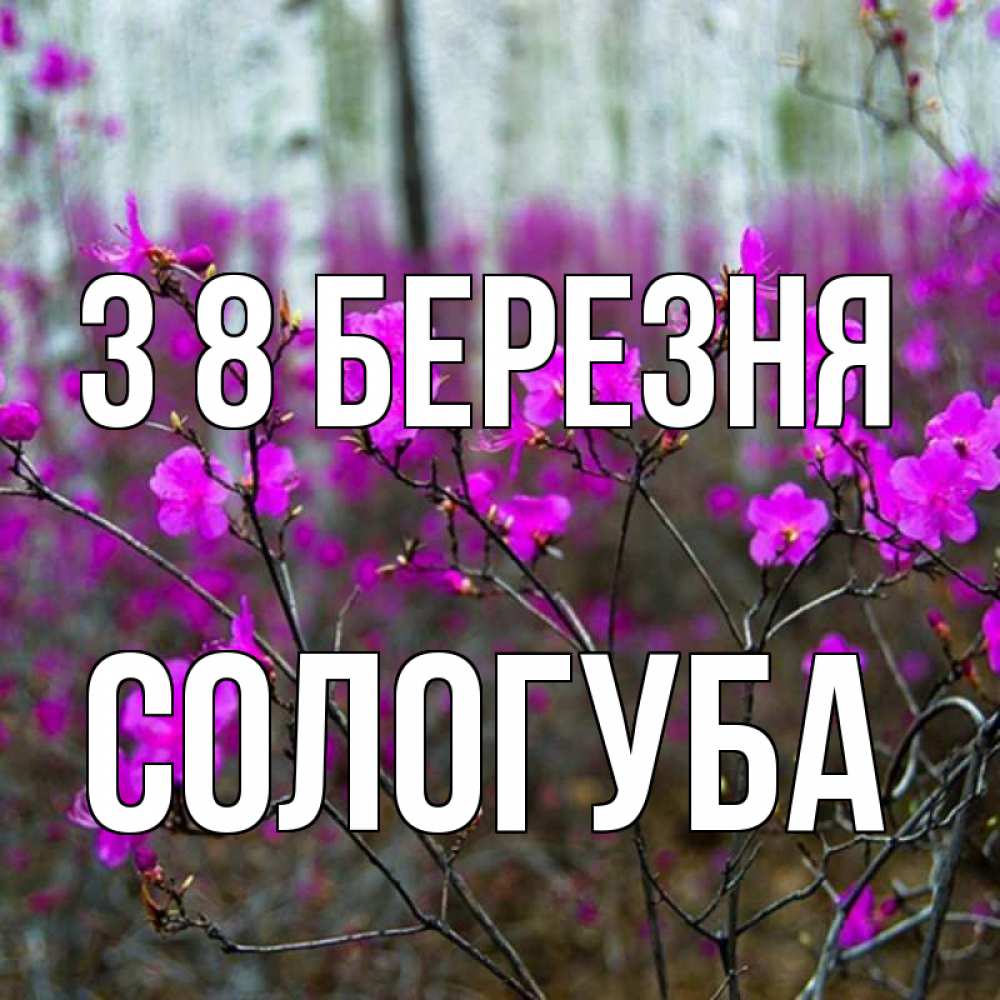 Открытка на каждый день з підписом, Сологуба З 8 БЕРЕЗНЯ дикие цветы Прикольна листівка з побажанням онлайн скачати безкоштовно 