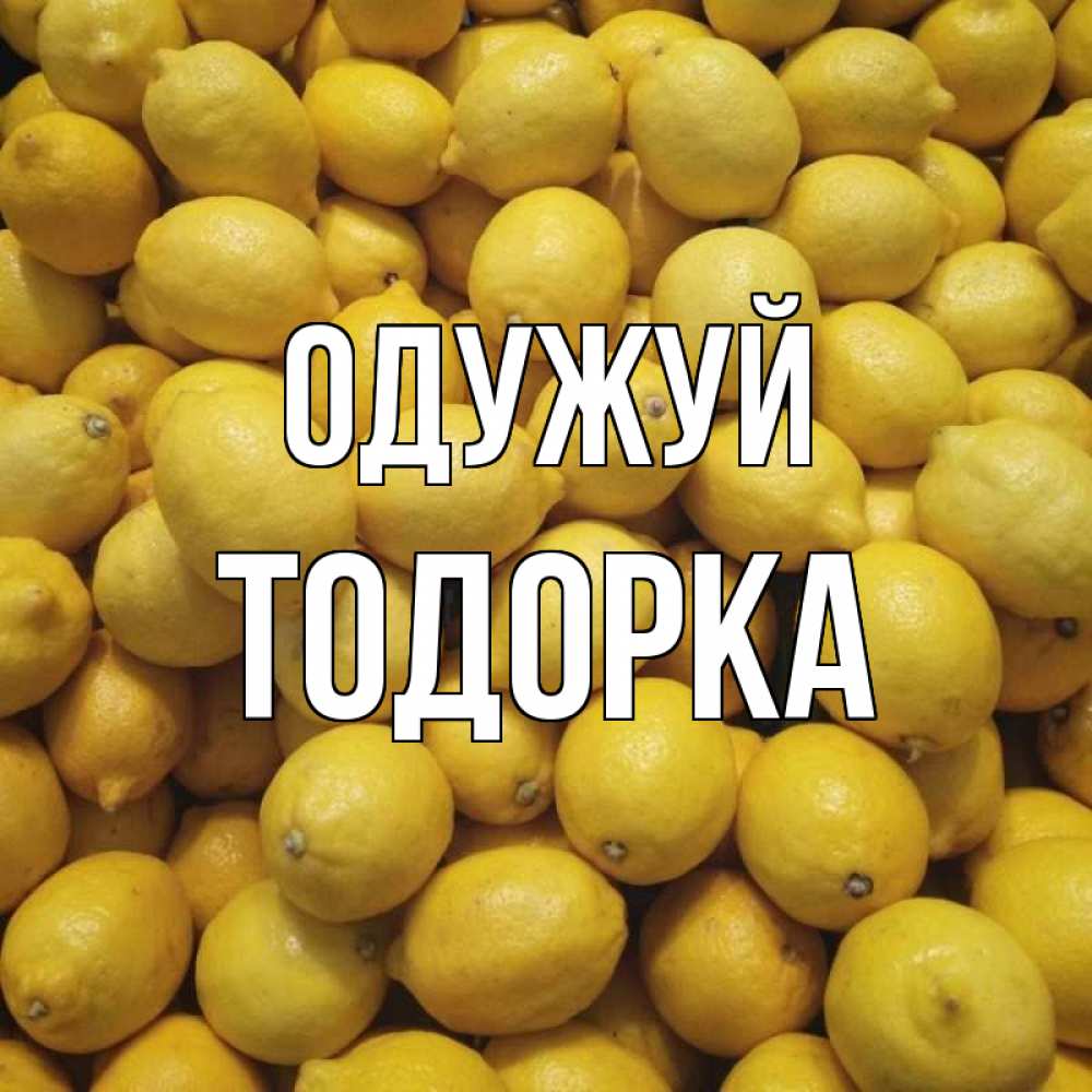 Открытка на каждый день з підписом, Тодорка Одужуй это точно поможет Прикольна листівка з побажанням онлайн скачати безкоштовно 