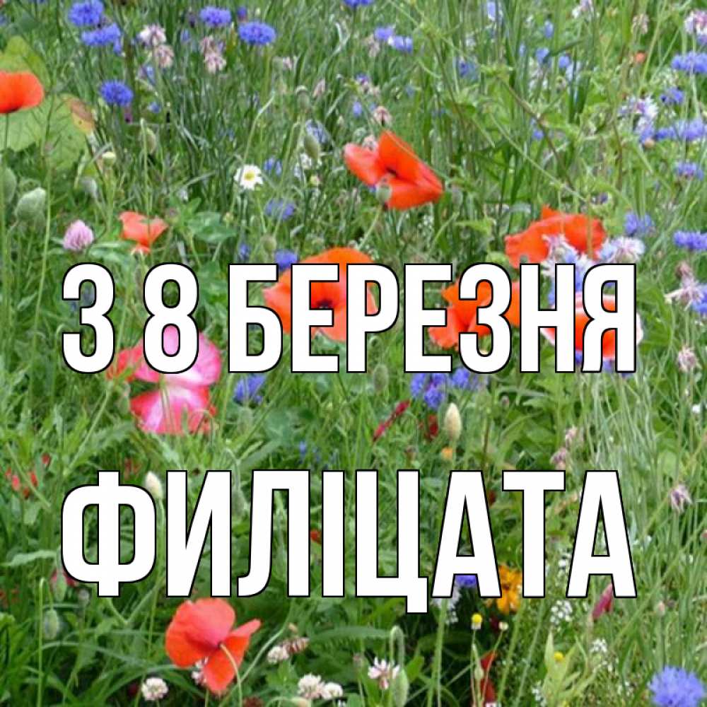 Открытка на каждый день з підписом, Филіцата З 8 БЕРЕЗНЯ международный женский день 4 Прикольна листівка з побажанням онлайн скачати безкоштовно 