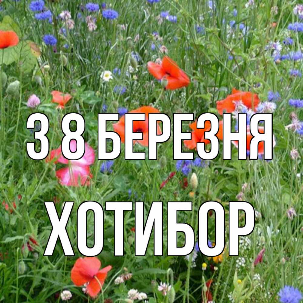 Открытка на каждый день з підписом, Хотибор З 8 БЕРЕЗНЯ международный женский день 4 Прикольна листівка з побажанням онлайн скачати безкоштовно 