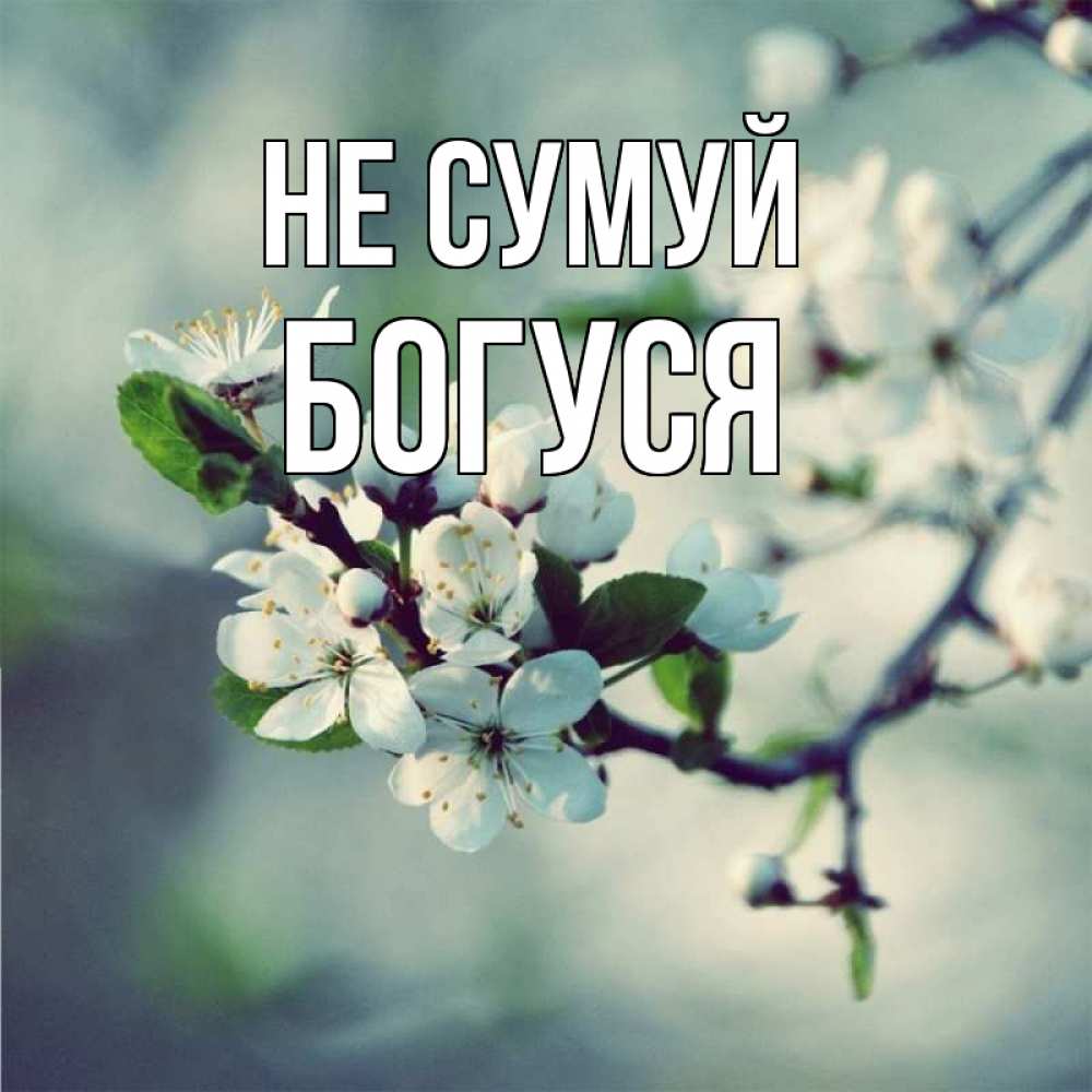 Открытка на каждый день з підписом, Богуся Не сумуй яблоня в цвету 1 Прикольна листівка з побажанням онлайн скачати безкоштовно 